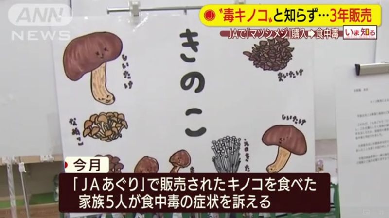 對照圖鑑也會誤判 日本野菇中毒事件頻傳