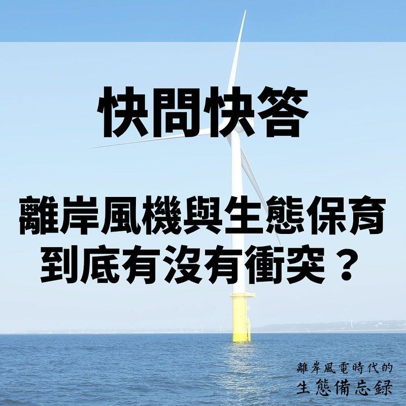 沒時間搞懂？5分鐘快問快答：離岸風機與生態保育到底有沒有衝突？