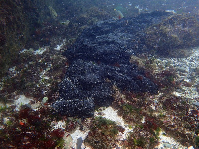 綠島海底油污聚成三大塊 13日開始清理 偷排嫌疑船已鎖定