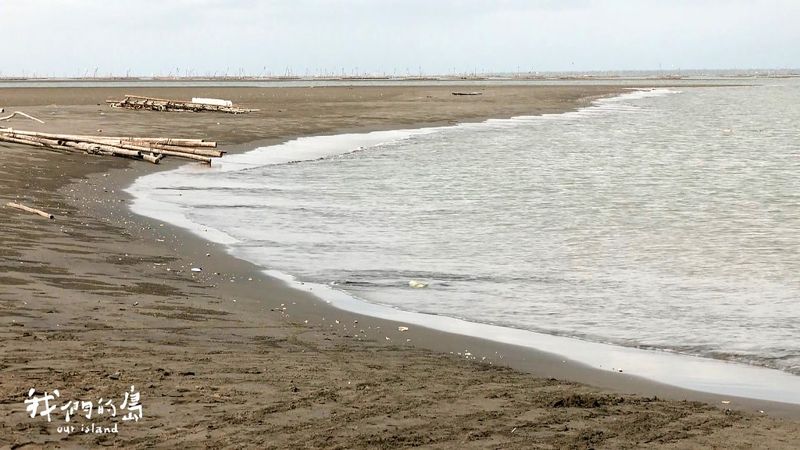 留沙．外傘頂洲 政府與民間的合力護沙行動