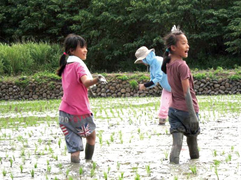 小小腳印踏在泥土，我們都是樹仔腳出身的人