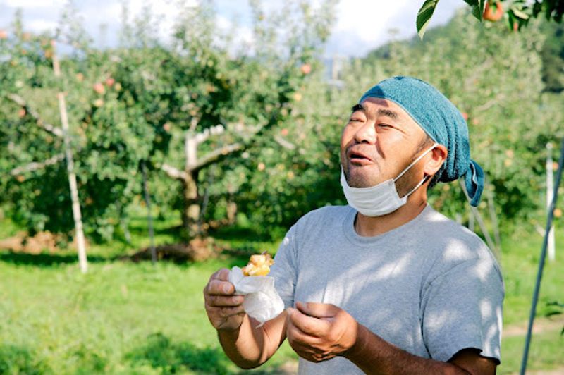 受損水果沒人要 日本剩食APP聯手糕點店、冷凍公司來搶救