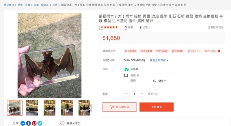 電商平台賣蝙蝠標本或助長非法捕獵 學者質疑「非自然死亡」︰不要買！