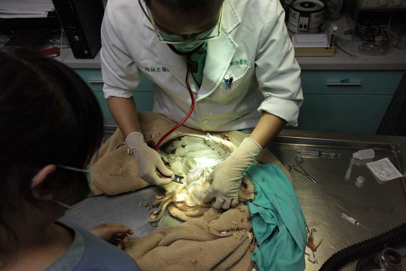 命懸一線 跨越那張網的死與生