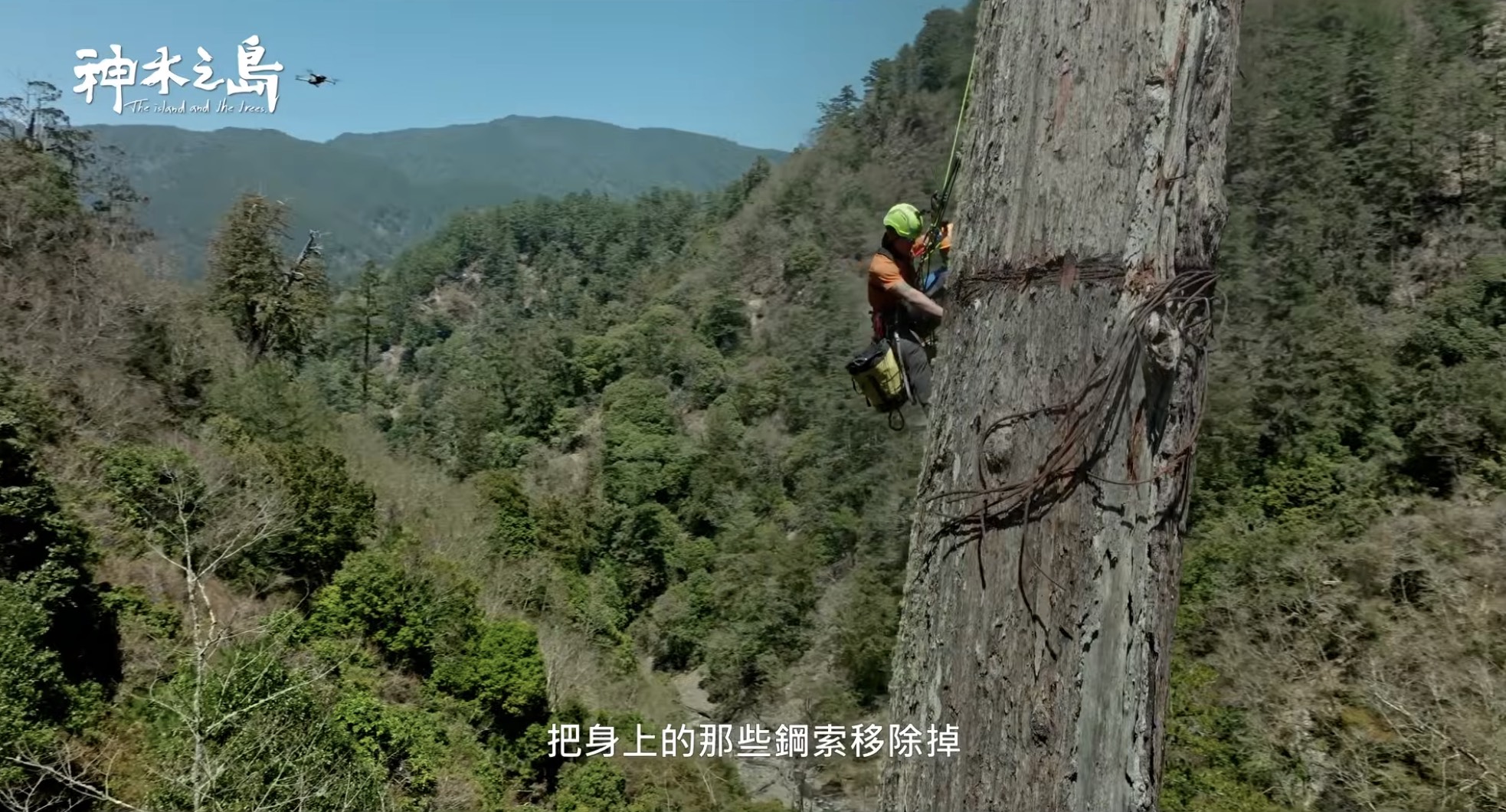為其割除鋼索的救援行動。圖片來源：《神木之島》預告片擷圖