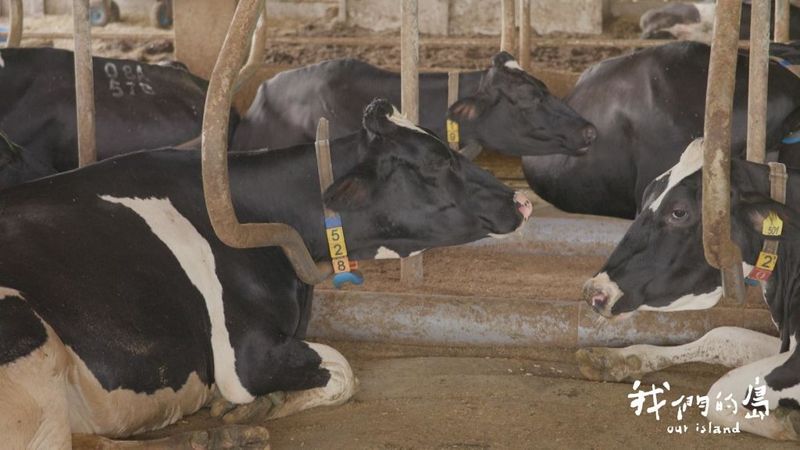 牠好，你也好？ 認識動物福利標章
