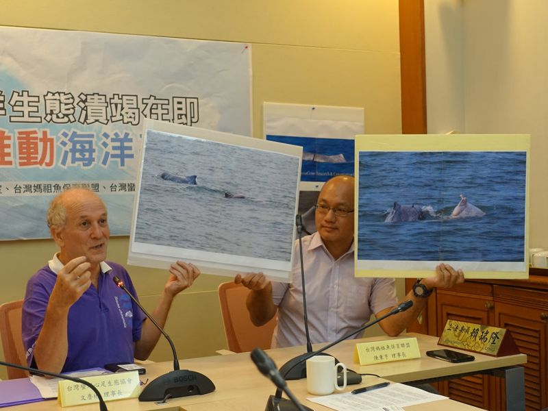 白海豚漁網身纏急需《海洋基本法》保護 環團籲儘速立法
