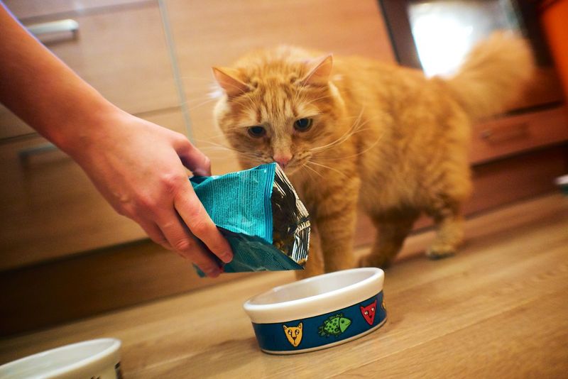 歐洲少肉新潮流 雀巢旗下品牌普瑞納 推出昆蟲蛋白寵物飼料