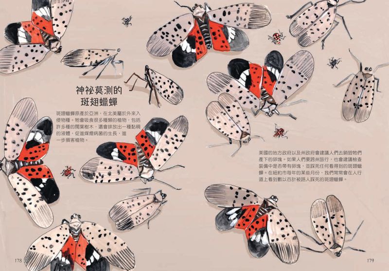 《昆蟲解剖書》 以手繪插圖詮釋色彩最鮮豔的昆蟲