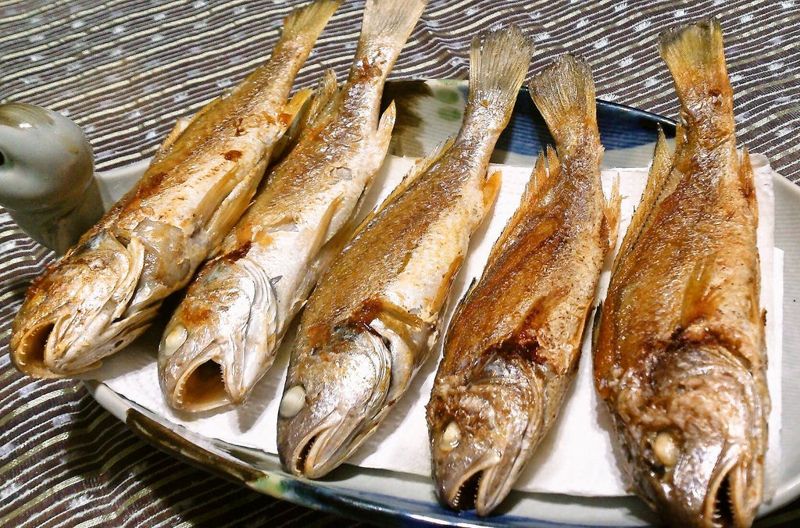 美味又喀喀喀叫的春子魚 教你用肉眼看出無良漁獲
