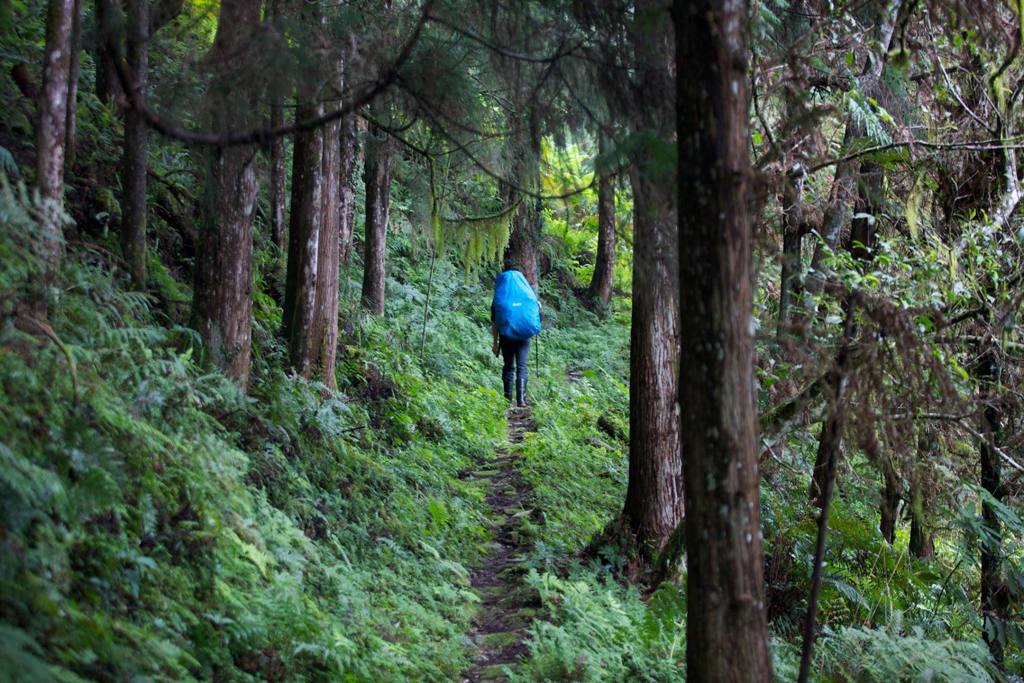 李香秀形容自己在爬山、蹲點與剪輯影片時，宛如一座孤島。圖片來源：「神木之島 The Island and the Trees」facebook粉絲專頁