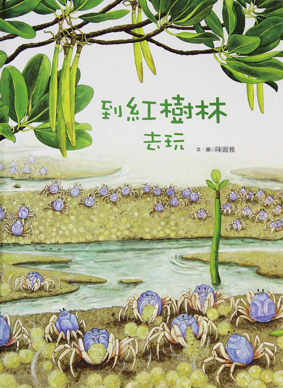《到紅樹林去玩》 看見水筆仔的生命旅程