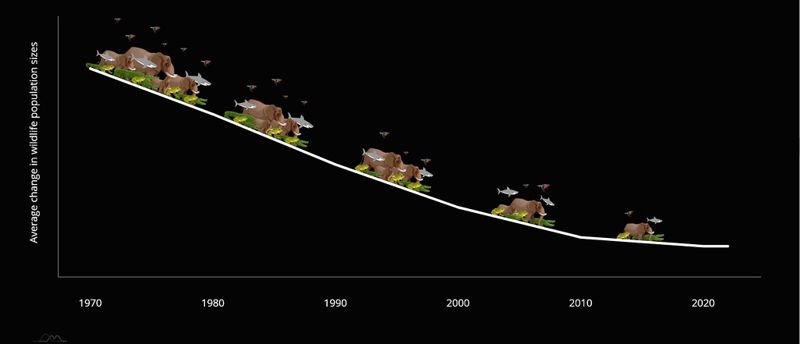 2022地球生命力報告：野生動物族群量48年平均下降69%