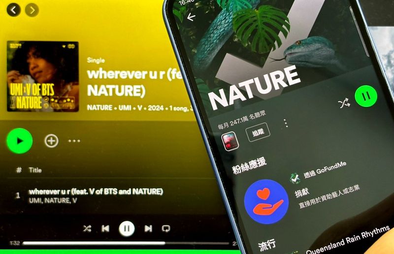 「V金泰亨」也合作！ Spotify讓「自然」領版稅 大咖音樂人共同為保育籌資金
