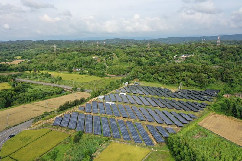 小光電別來石虎棲地 苗栗縣首創農地變更光電審查機制