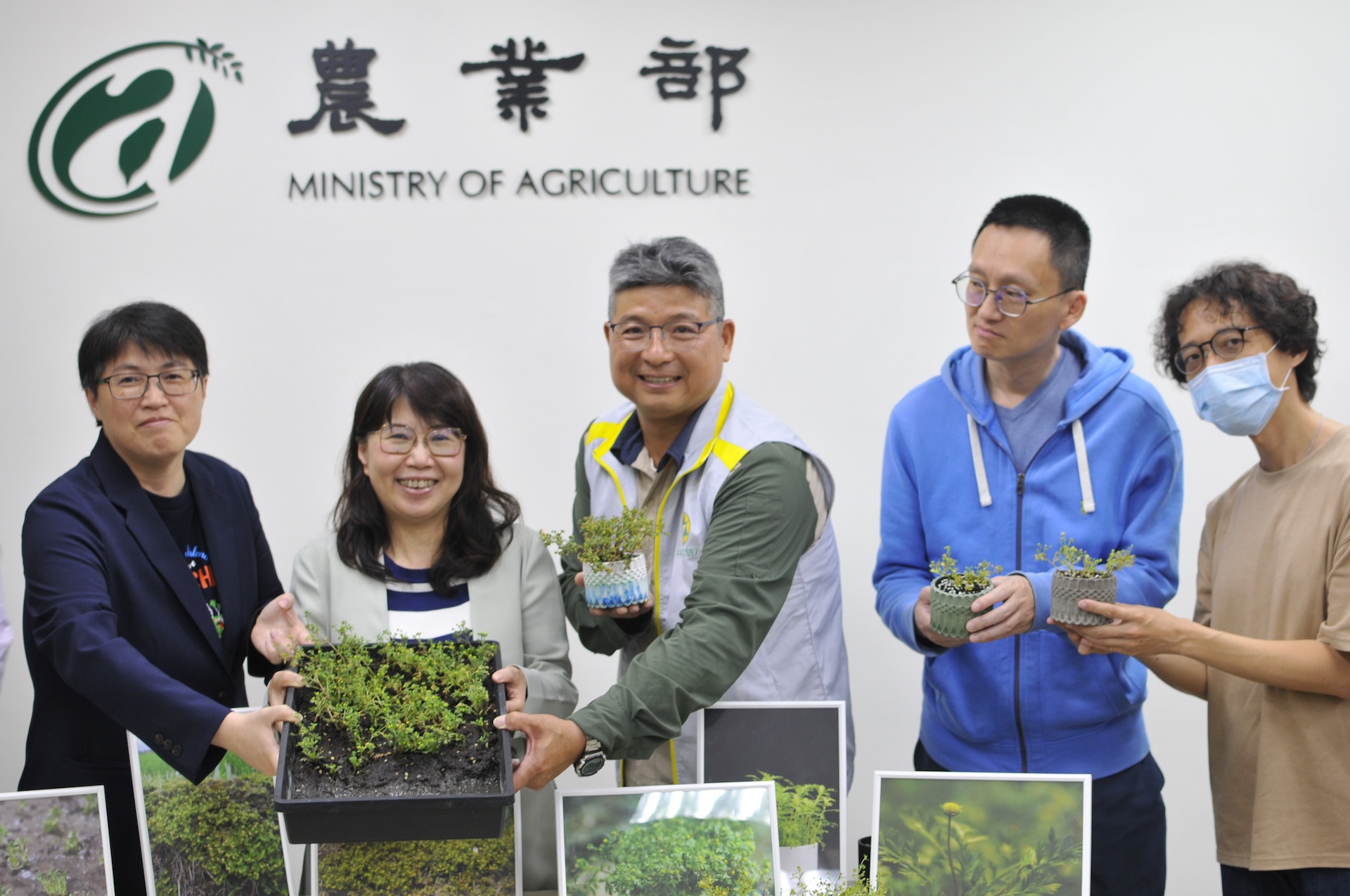 林試所的團隊用了6年時間，成功保育山芫荽，並計劃與園景業界合作，推廣成為居家盆景。攝影：潘柏林
