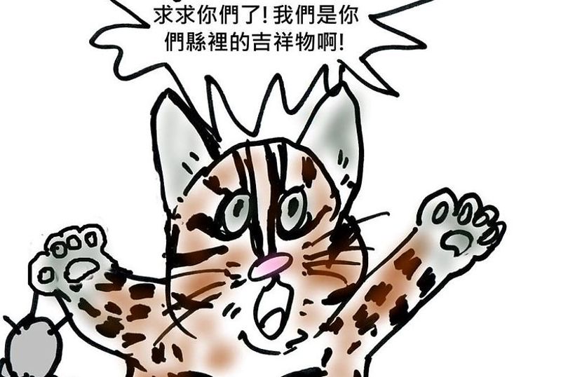 當石虎對上開發，我們還剩下什麼?