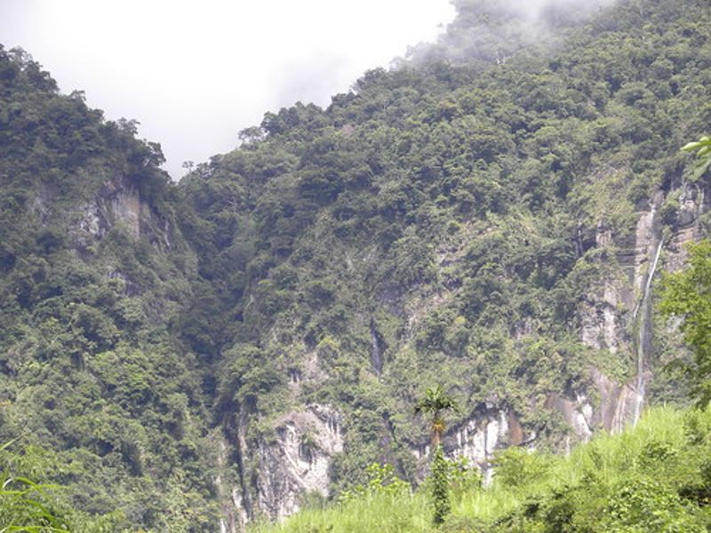 生物多樣性價幾何？彰顯經濟價值 保育無價生態（三）