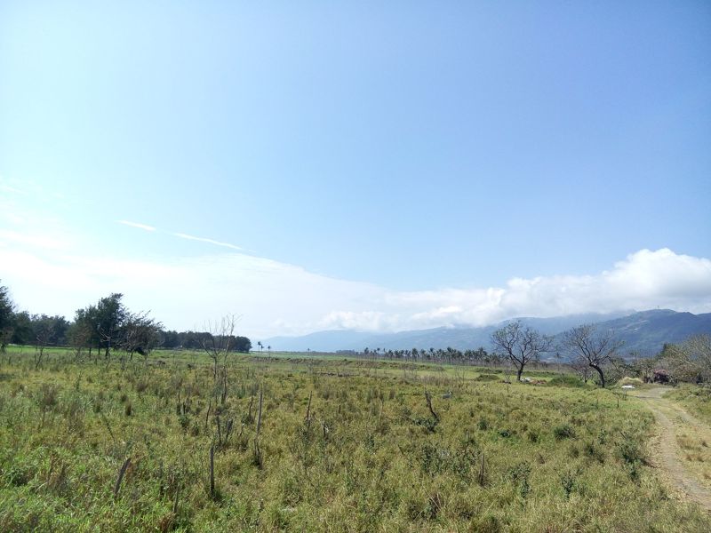 借鏡美洲反視台灣 《1491》原住民生態的再想像