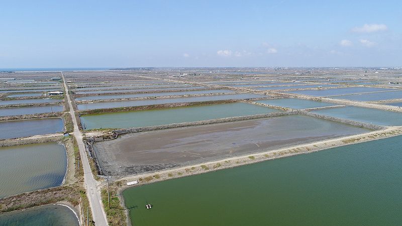 Google宣布首樁亞洲綠電採購 2020年台南魚塭光電10MW