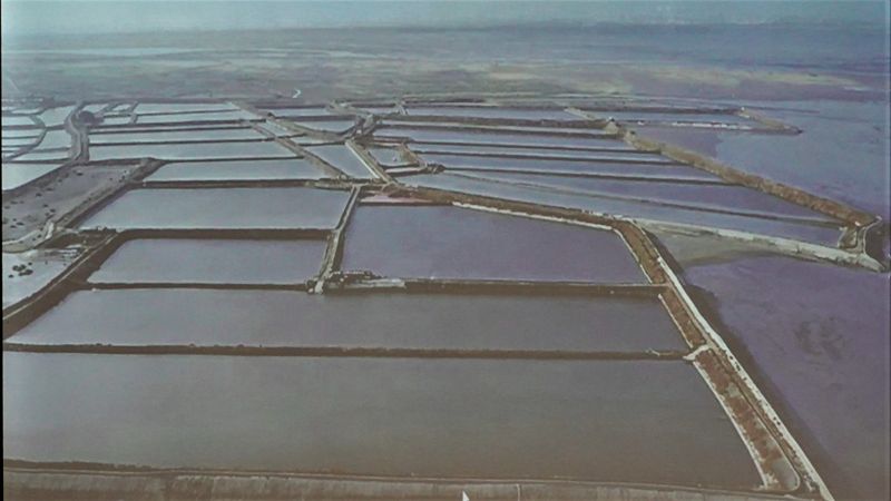 海岸災害防治區首例 海精光電場完成海審會小組初審