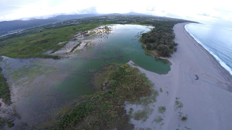 僅依據光電條例逕行開發 將破壞知本濕地多樣生態資源