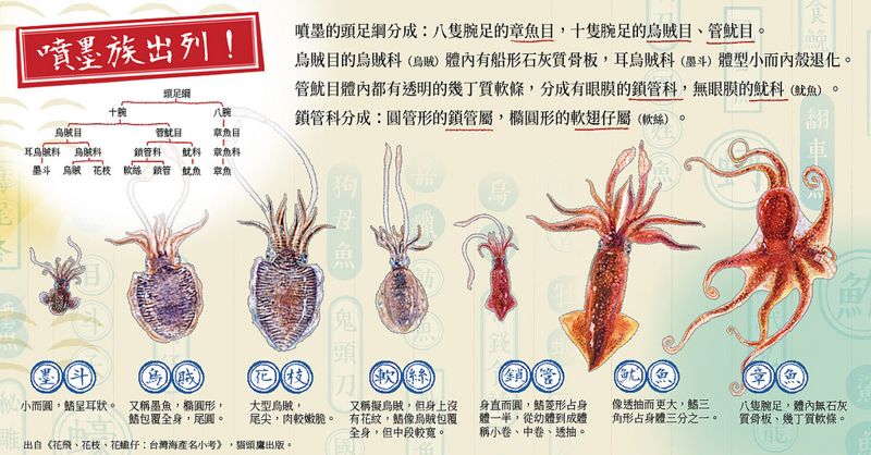 《台灣海產名小考》作者專訪：海鮮的逆襲！猜得出我名字的由來嗎？