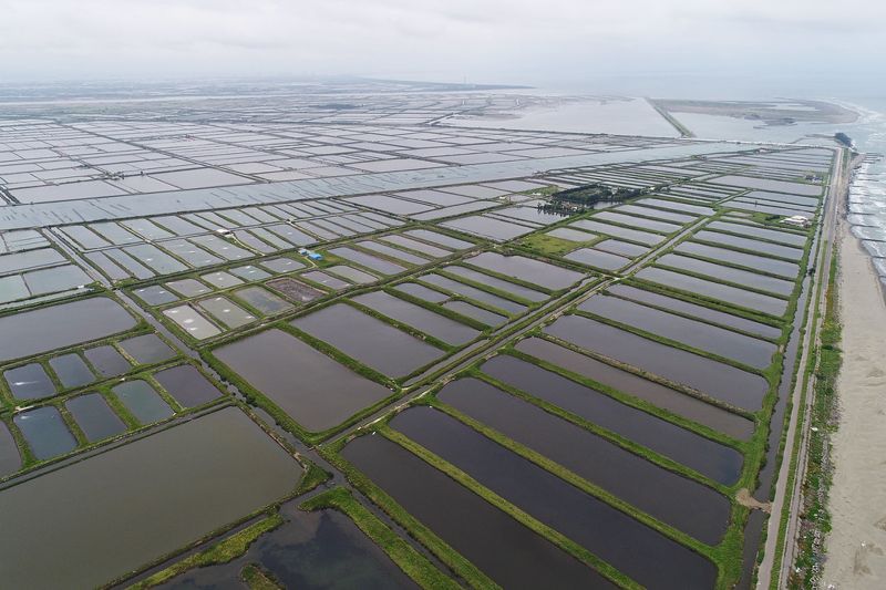 全國魚塭劃「漁電共生先行區」 首波公告嘉義、台南2626公頃 環社檢核過第一關