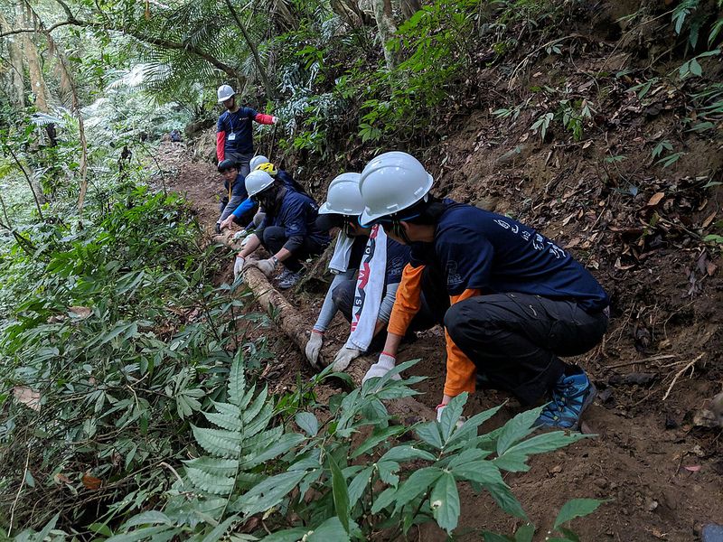 循著土石的紋理整復古道 「樟之細路」逐段牽起山林城鎮