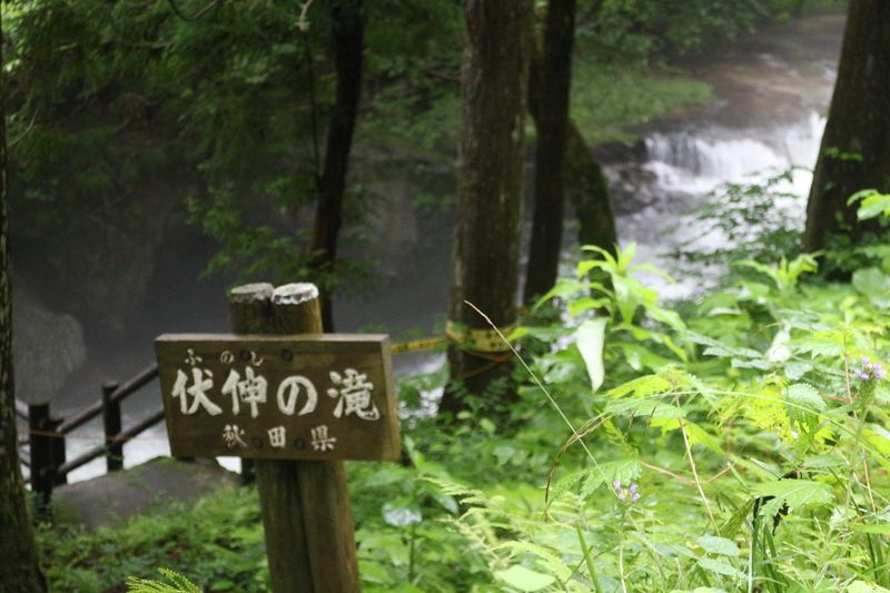 走過一甲子 《里山倡議》蓄積能量再接「30ｘ30」保育挑戰