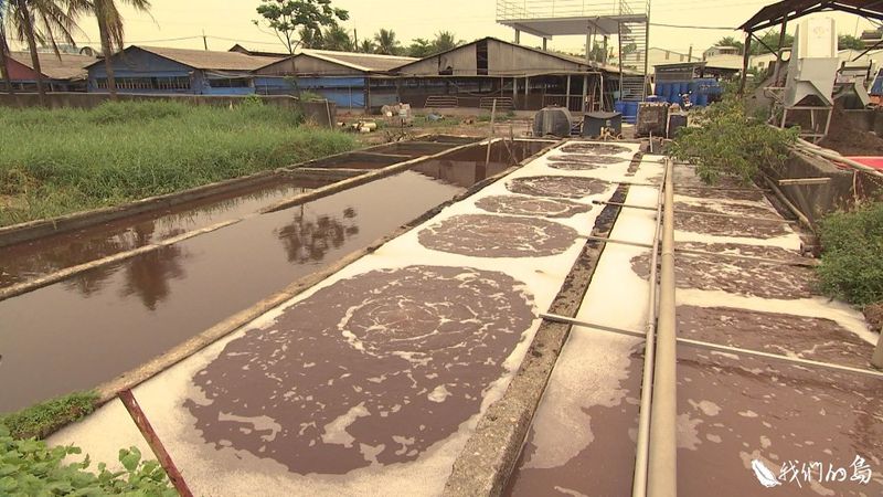 肥水落田 從污染者轉為滋養農地的助手