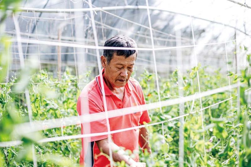 河谷裡的有機先行者——我的菜是微生物養大的