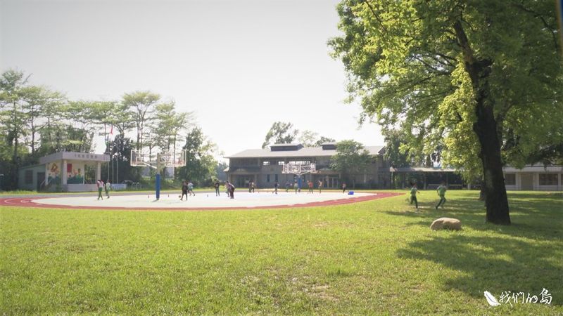 開始，與樹共好 小學校園的老樹救援記事