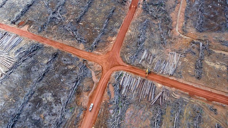 衛星影像洩縱火痕跡 棕櫚油集團Korindo再遭指控違法焚燒印尼雨林