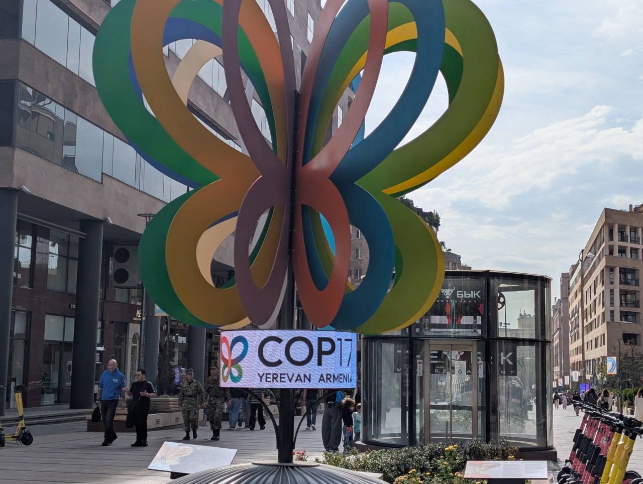 COP17 的官方主視覺是僅分布於亞美尼亞的特有種「葉里凡灰蝶」,23種色彩象徵著昆蒙框架的23項具體目標。攝影:陳昭宏