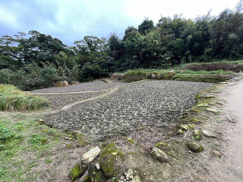 第九走：炮仔崙文化地景見證農村互助精神