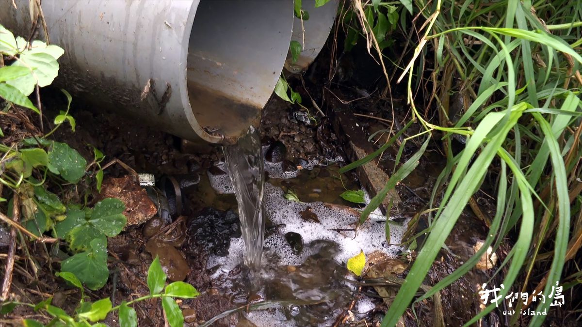竹城「水」夢！新竹市公投後，好水在哪？