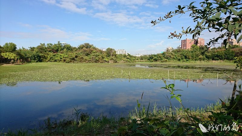 水水綠綠的無用之用——濕地（下）