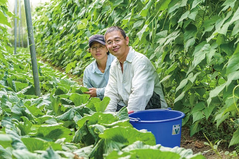 陳明宏——歸農，師法自然