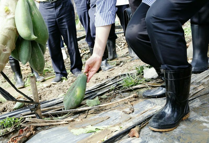 氣候變遷農損毀心血 400位農漁民聯署促碳定價