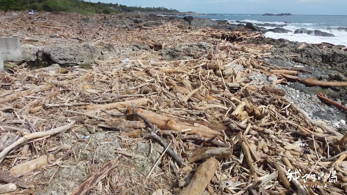 廢材轉生術：漂流木、牛糞也能有大用處