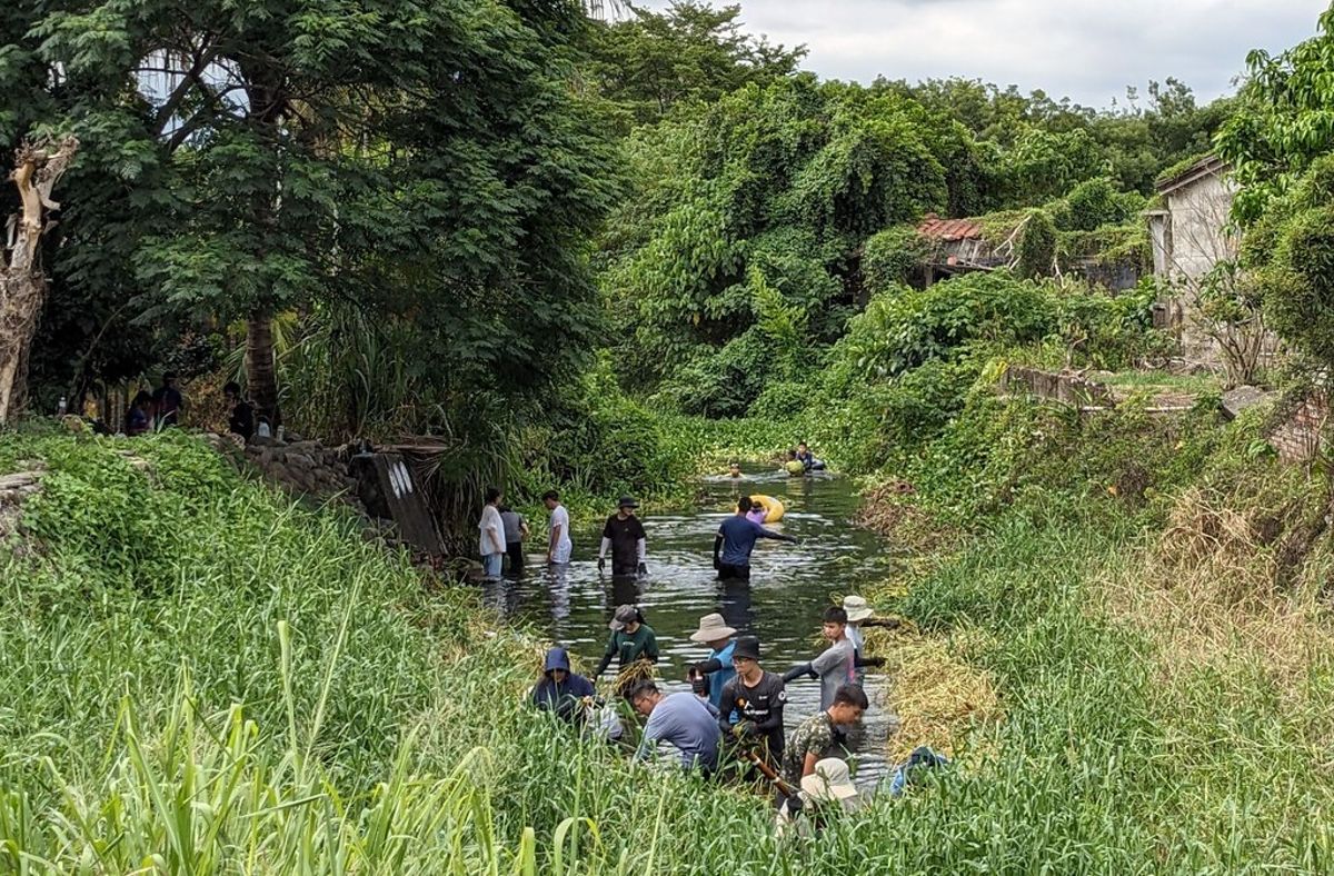 工作假期護水圳 原生種魚類「水打扁」再現五溝水濕地