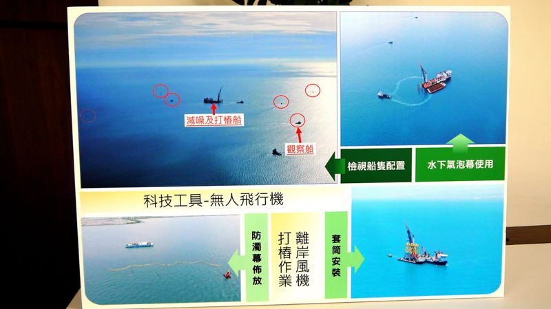 允能風場遭罰40萬 環署科技執法遠端監控 揪出鯨豚觀察船提早離開