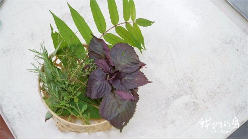 香草新經濟 新竹那羅香草的友善農業藍海