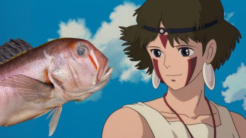 深海的魔法公主 中國南海發現新物種「小桑馬頭魚」