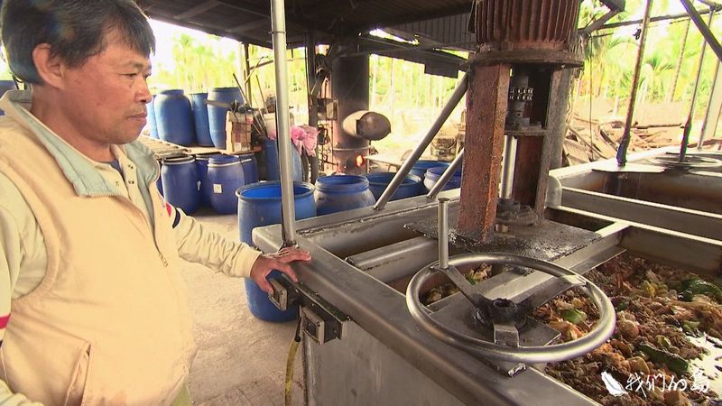 尋味台灣黑豬 禁用廚餘之後？