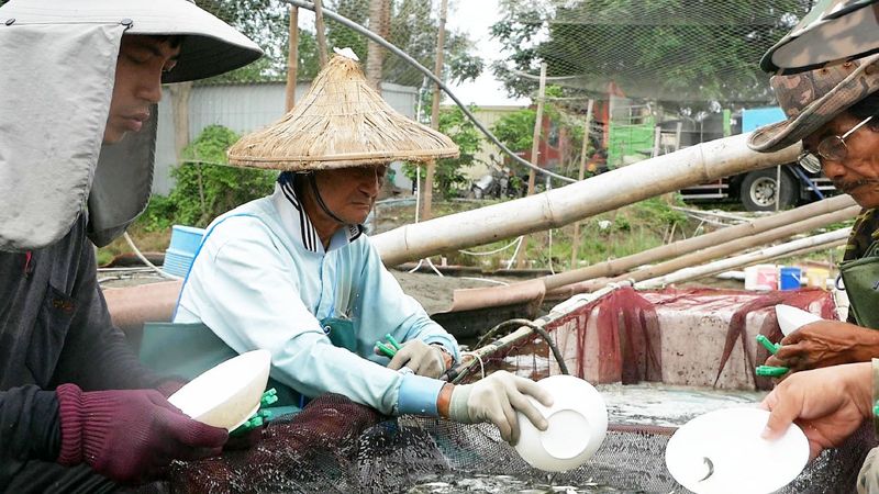 看見漁村人口老化 南台科大學生錄下「魚栽歌」盼傳承