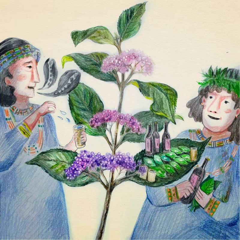 傳統祭祀pakiqecan使用的杜虹花