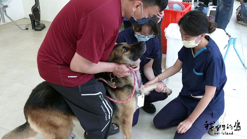 TNVR是什麼？
