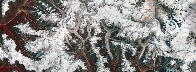 從高空看生物多樣性 空巴基金會公開甄選 30公分高解析衛星影像助攻保育